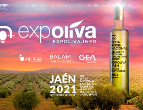 La D.O. Aceite Sierra de Cazorla asiste a Expoliva con grandes expectativas de afianzar nuevas relaciones comerciales