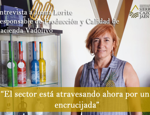 Entrevista a Juana Lorite, responsable de Producción y Calidad de Hacienda Vadolivo