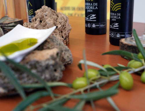 “Habrá aceite de oliva suficiente para abastecer a los mercados”, asegura la DOP Aceite Sierra de Cazorla