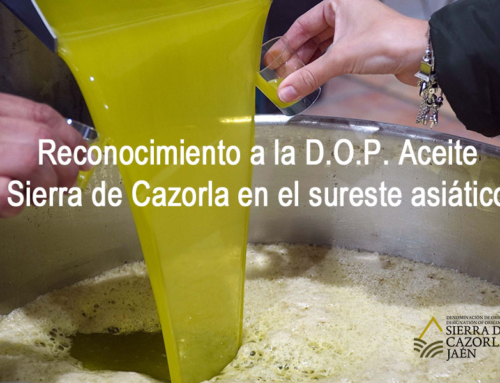 Reconocimiento de la D.O.P. Aceite Sierra de Cazorla en el sureste asiático