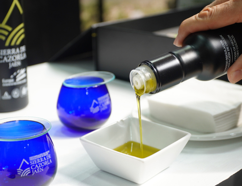 LA D.O.P. Aceite Sierra de Cazorla prevé una campaña con menos producción y muy marcada por la incertidumbre de la evolución del fruto
