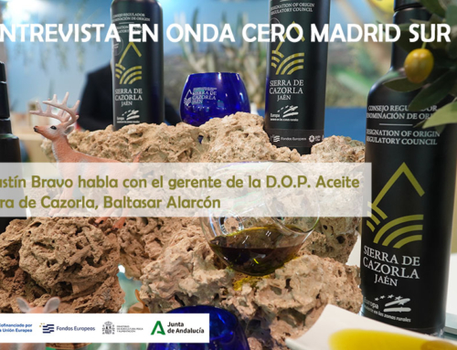 Entrevista en Onda Cero Madrid Sur
