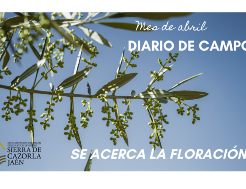 DIARO DE CAMPO. Mes de abril. Se acerca la floración