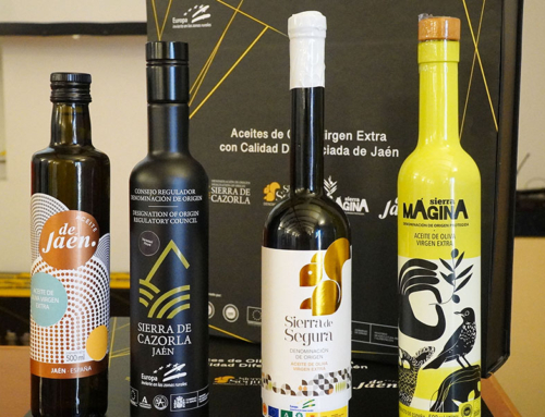 Las II Jornadas sobre la Calidad Diferenciada tendrá como protagonista al olivar tradicional y su futuro