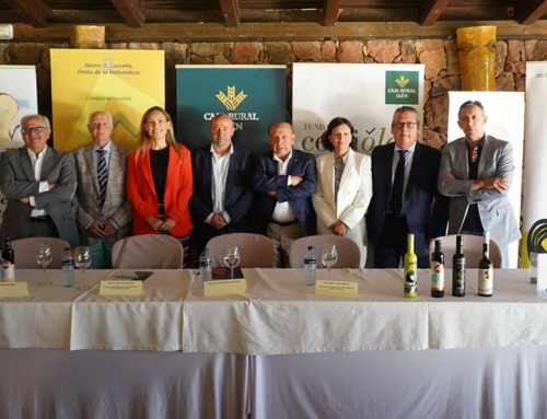Calidad, diferenciación, sostenibilidad y antídoto frente a la despoblación, fortalezas del AOVE del olivar tradicional de Jaén
