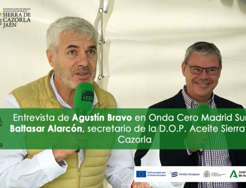 Entrevista de Agustín Bravo al secretario de la DOP Aceite Sierra de Cazorla, Baltasar Alarcón