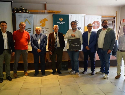 El sector del olivar jienense avanza hacia una mayor digitalización y un mayor compromiso con la calidad